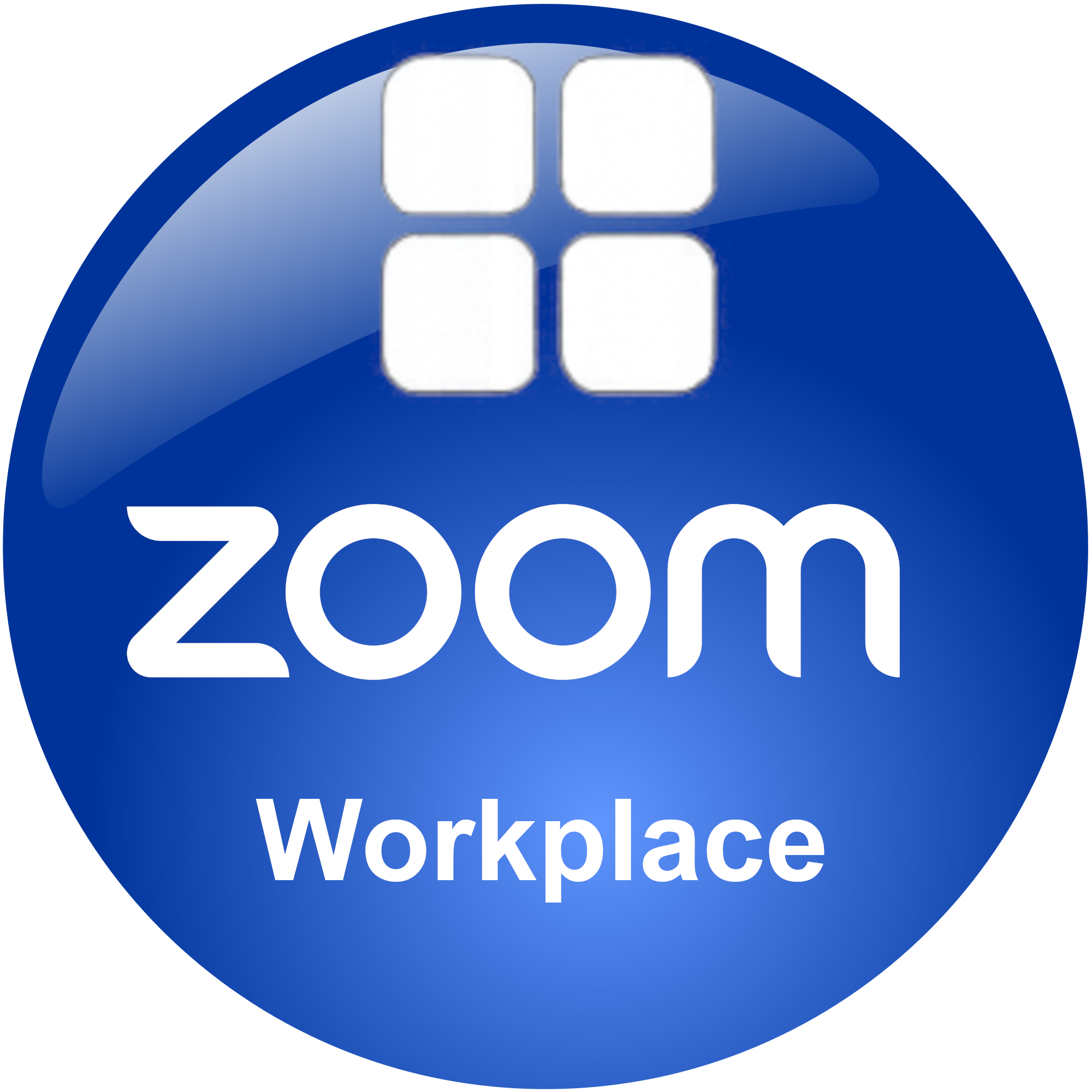 Zoom Workplace complete