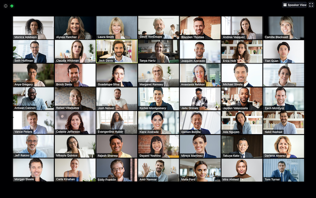 Zoom meetings